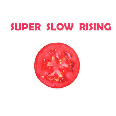 

Gotoamei Cute Small Fruits Stress Reliever Scented Super Slow Rising Toy