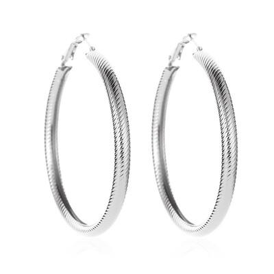 

2Pairs Fashion Popular Gold Silver Hoop Earrings Personality Thick Round Earrings Metal Women&39S Earrings Jewelry