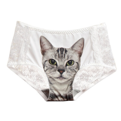 

Womens 3D Cat Print Transparent Panties Sexy Lace Gauze Patchwork Panties Thin Light Seamless Underwear Briefs