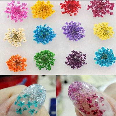 

2436Pcs 12 Colors 3D Decoration Real Dry Dried Flower for Gel Nail Art Tips