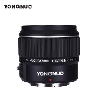 

YONGNUO YN425mm F17M Large Aperture Auto FocusManual Focus Lens Standard Prime Lens for M43 Mount DSLR Cameras Compatible with