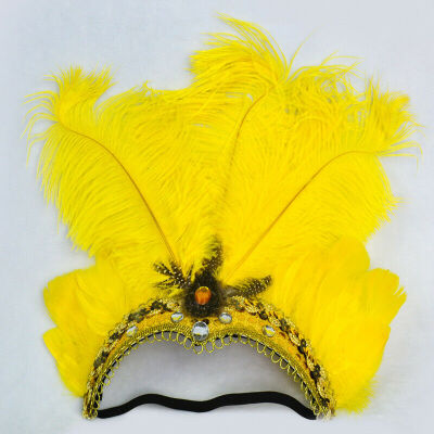 

Indian Crystal Crown Feather Headband Headdress Carnival Headpiece Headgear