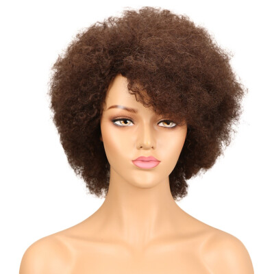 

Noble Afro Kinky Curly Wig Brazilian Human Hair Wigs Remy Non Lace Front Wig Free Shipping