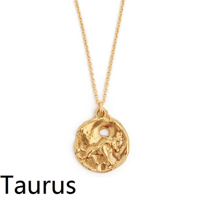 

Star Zodiac Sign 12 Constellation Coin Necklaces & Pendants Choker Necklaces for Women Long Chain Necklace bijoux femme