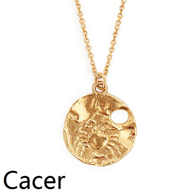 

Star Zodiac Sign 12 Constellation Coin Necklaces & Pendants Choker Necklaces for Women Long Chain Necklace bijoux femme