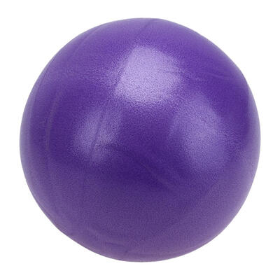 

25cm984in Yoga Fitness Pilates Balance Exercise Ball Child Adult