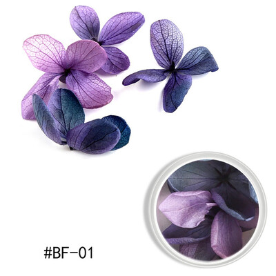 

Toponeto Nail Ornament Dry Flower Color Petals Ziyang Flower Nail Dry Nail DIY Decoration