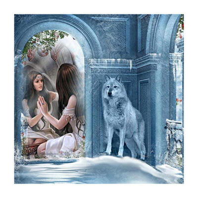 

5D DIY Full Drill Diamond Painting Wolf Women Cross Stitch Embroidery Kit