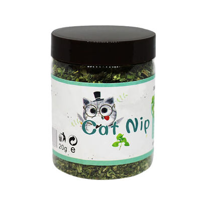 

Cat Natural Mint Toy Organic Premium Mint Cleansing Nutrition Dry Cat Funny Toys 280ML