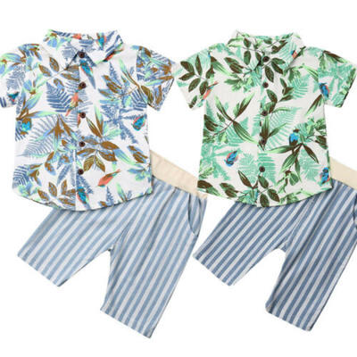 

2019Toddler Kids Baby Boys Clothes Boys Outfits Sets Leaf T-shirts Stripe Pants