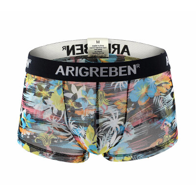 

Mens Sexy Mesh Underwear Printed Stretch Breathable Boxer Briefs Shorts Trunks