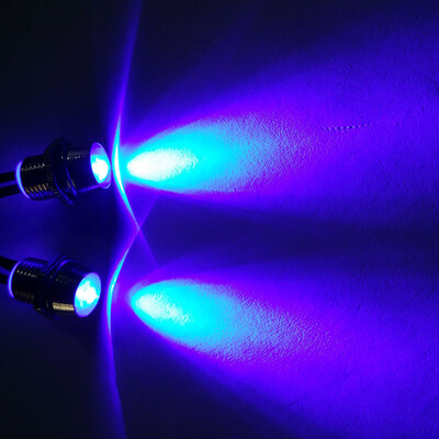 

Tailored 2pcs LED Lights 5mm for Traxxas 110 18 HSP Redcat Axial SCX10 D90 Blue