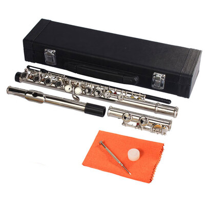 

Ktaxon Concert Silver Nickel Plated C Closed Hole Concert Band Flute with Case