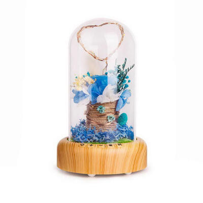 

Creative Bluetooth Audio Speaker Wishing Streamer Bottle LED Nightlight Decorative Gifts Decorative Light