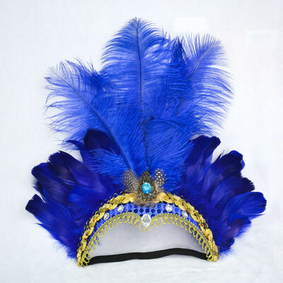 

Indian Crystal Crown Feather Headband Headdress Carnival Headpiece Headgear