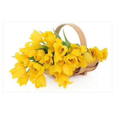 

5D DIY Diamond Painting Yellow Flowers Cross Stitch Embroidery Rhinestones