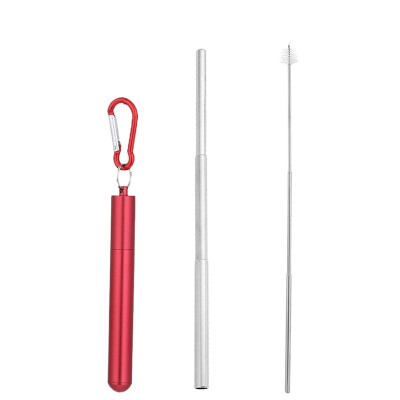 

Portable Reusable Drinking Telescopic Stainless Steel Straws Sets Carabiner