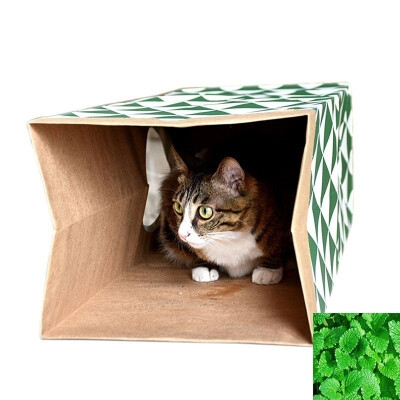 

For Cats Funny Cat Play Toy Channel Tunnel Toys For Cats Foldable Kraft Paper Products For Cats For Gatos