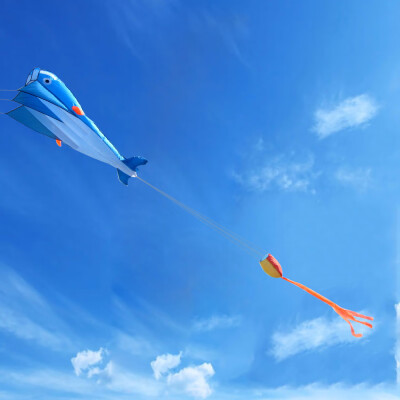 

Tailored software dolphins Long Tail Beach Kites-Perfect Toy for Kids&Adults Outdoor