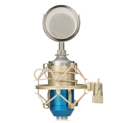 

LEIHAO BM - 8000 Professional Sound Studio Recording Condenser Microphone with 35mm Plug Stand Holder