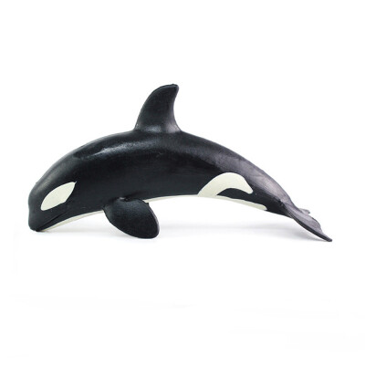 

Tailored Educational Science Toy Simulated Whale Model Kids Children Bath Toy