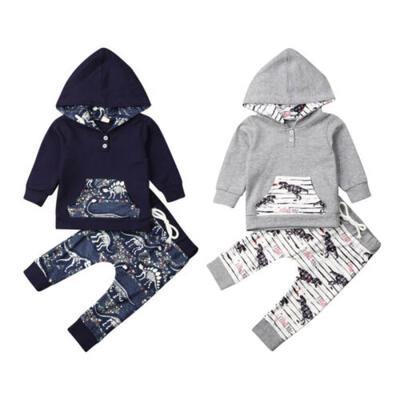 

Toddler Kids Baby Boy Thick Warm Clothes Dinosaur Hooded Tops Pants Outfits Sets