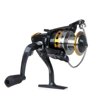 

9BB Ball Bearings LeftRight Interchangeable Collapsible Handle Fishing Spinning Reel LJ2000 521