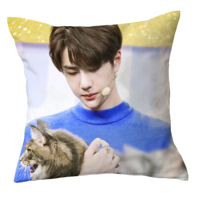 

1Pc Chen Qingling Wang Yibo Pillow Case Cover Cushion Sofa Car Winter Home Decor