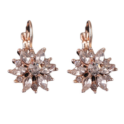 

Stylish Fashion Quality Flowers Snowflake Crystal-encrusted Earrings Ear Ring Earrings