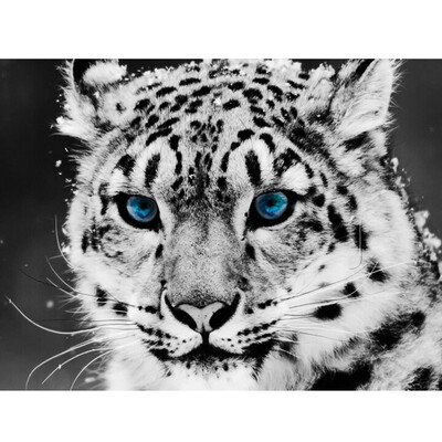 

Round Diamond Rhinestones 5D DIY Diamond Painting for Home Wall Decor