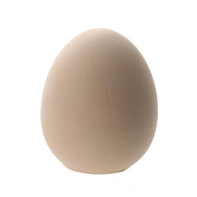 

Mini Lucky Egg Eggshell Plant Pot Bonsai Garden Office Table Decoration