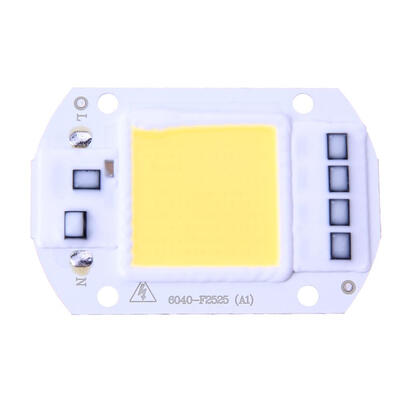 

50W LEDs Floodlights COB Chip 220V Input Integrated Smart IC Driver