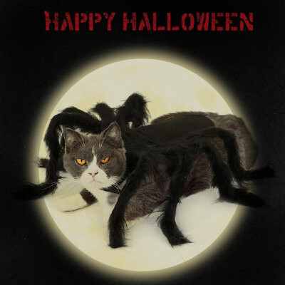 

Cat Costume Halloween Spider Pet Costumes Pet Apparel for Small Cats&Dogs