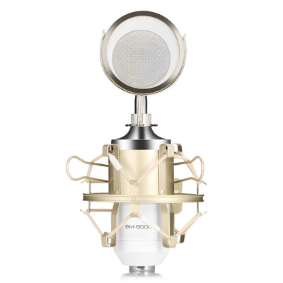 

LEIHAO BM - 8000 Professional Sound Studio Recording Condenser Microphone with 35mm Plug Stand Holder