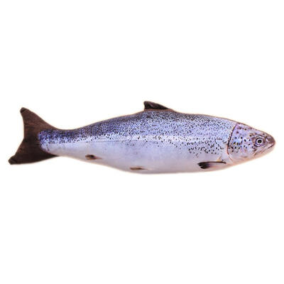 

Cute Plush Fish Shape Pet Cat Kitten Teaser Plaything Catnip Toys Pillow