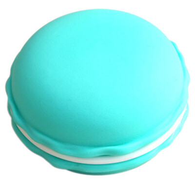 

Gobestart Earphone SD Card Macarons Bag Big Storage Box Case Carrying Pouch SB