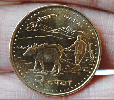 

25mm Nepal Farm Cattle Coin Mount Everest