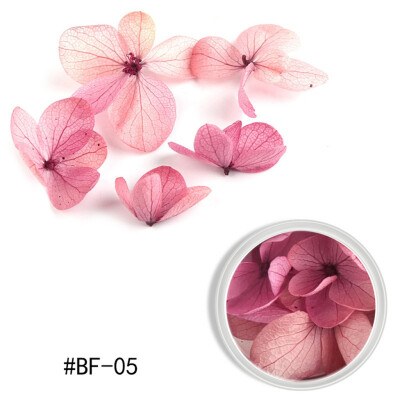 

Toponeto Nail Ornament Dry Flower Color Petals Ziyang Flower Nail Dry Nail DIY Decoration