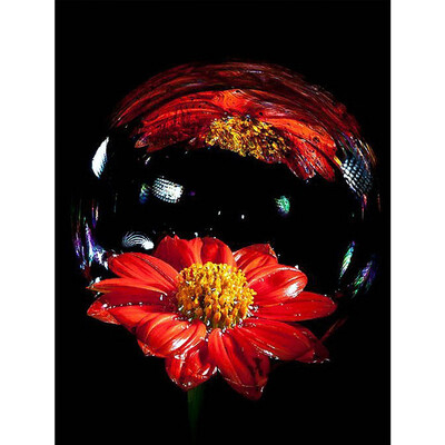 

Diamond Painting Flower 5D DIY Full Square Diamond Embroidery Cross Stitch Rhinestone Picture Decor Home Gift
