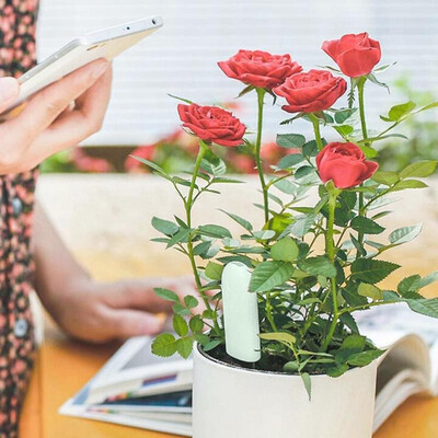 

Xiaomi Flora Monitor Digital Garden Smart Sensor Detector Chinese Version