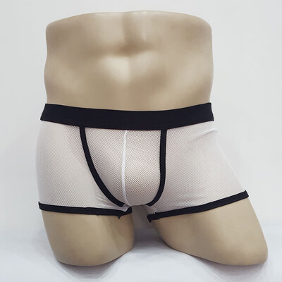 

Mens Sexy Low Rise Stretchy Lingerie Boxer Brief Shorts Mesh Thongs Underwear
