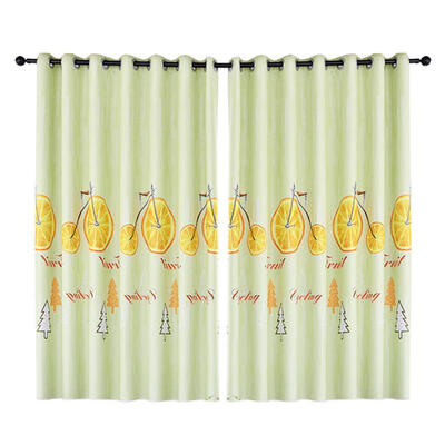 

Fruit Bike Print Polyester Curtains Bedroom Blackout Window Blinds Drapes