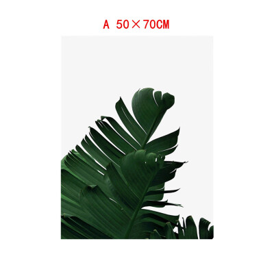 

Gotoamei Leaf Plant Leaf Tortoise Decorative Canvas Painting Childrens Room Hanging Painting Spray Painting