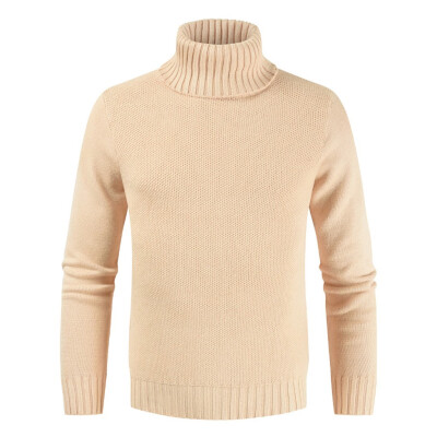 

Toponeto Mens Autumn Winter Casual Pure Color Turtleneck Long Sleeve Knitted Sweater Top