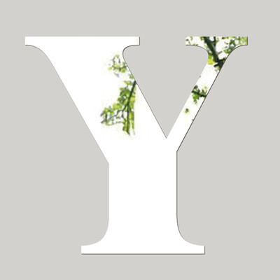 

Siaonvr Mirror Wall Sticker 26 Letters DIY Art Mural Home Decor Acrylic Decals Silver A