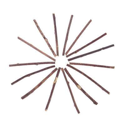 

1520pcs Natural Fruit Matatabi Cat Snacks Sticks Catnip Pet Cat Molar Rod