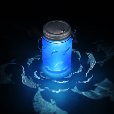 

〖Follure〗Hand Etched Dolphins Solar Mason Jar Light Bottle Projection Nightlight Patio