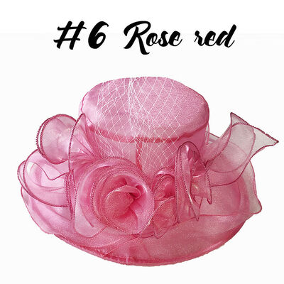 

Women Kentucky Derby Sun Hat Wide Brim Wedding Tea Party Church Organza Hats