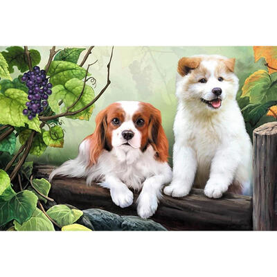 

5D DIY Full Drill Diamond Painting Lovely Dogs Cross Stitch Embroidery Kits