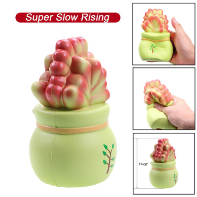 

Gotoamei Adorable Potted Plant Super Slow Rising Kids Fun Toy Stress Reliever Toy